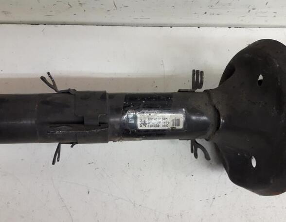 Suspension Strut AUDI TT (8N3)