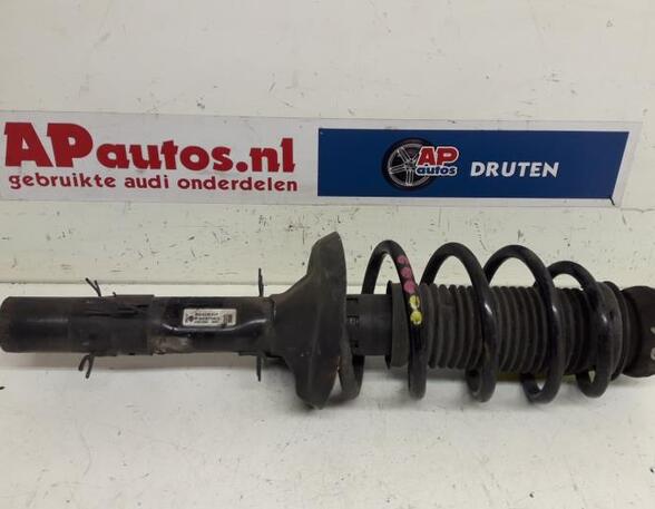 Suspension Strut AUDI TT (8N3)