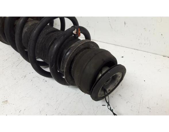 Suspension Strut AUDI A3 (8L1)