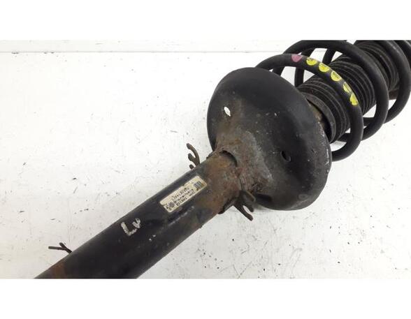 Suspension Strut AUDI A3 (8L1)