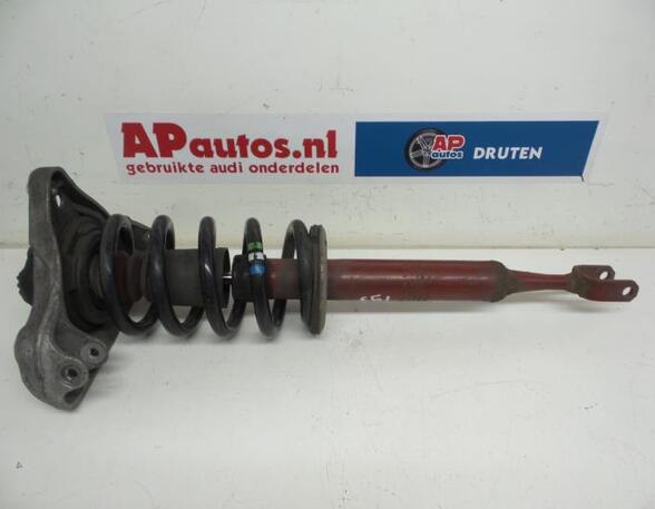 Suspension Strut AUDI A4 (8EC, B7)