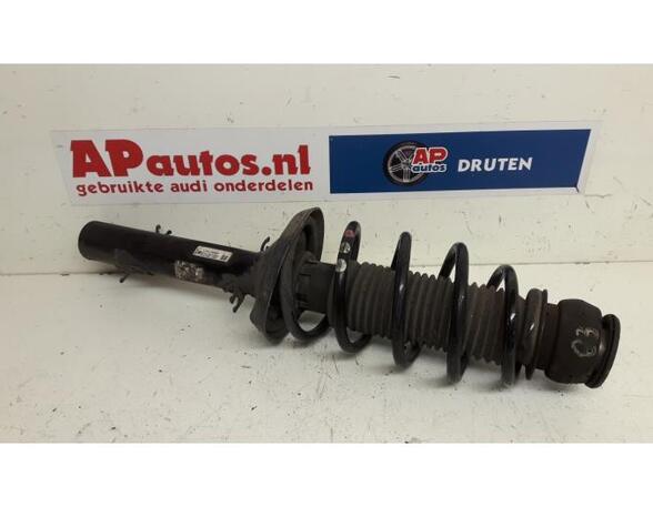 Suspension Strut AUDI A3 (8L1)