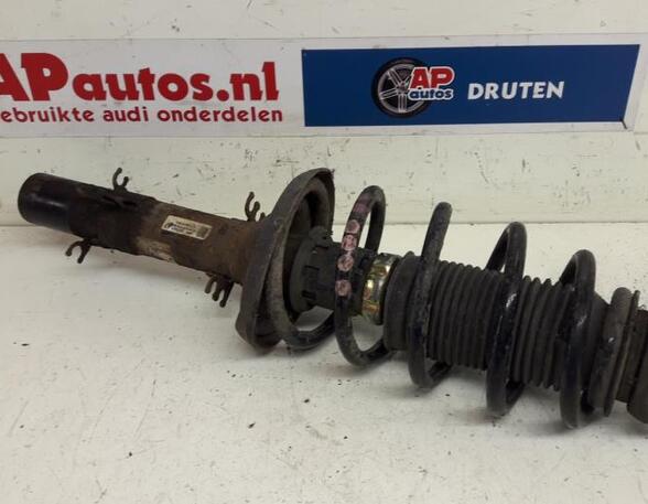 Suspension Strut AUDI TT (8N3)