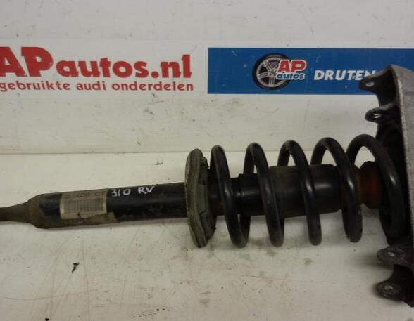 Suspension Strut AUDI A4 (8EC, B7)