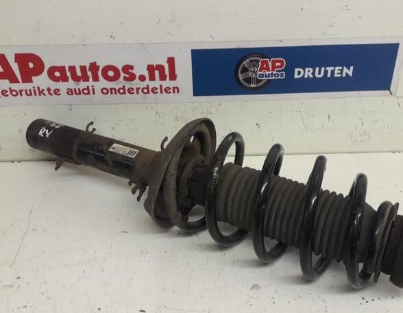 Suspension Strut AUDI A3 (8L1)