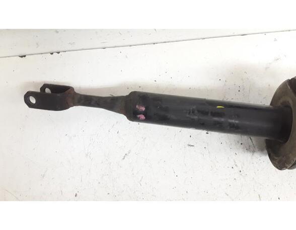 Suspension Strut AUDI A4 (8E2, B6), AUDI A4 (8EC, B7)