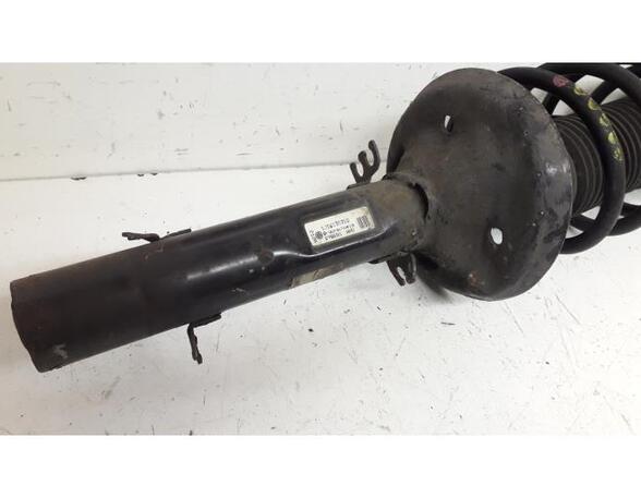 Suspension Strut AUDI A3 (8L1)