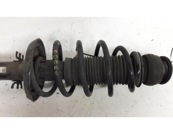 Suspension Strut AUDI A3 (8L1)