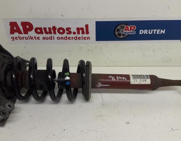 Suspension Strut AUDI A4 B7 Convertible (8HE)