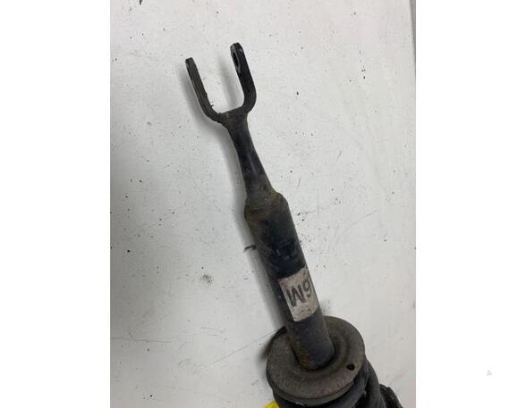 Suspension Strut AUDI A4 B7 Convertible (8HE)