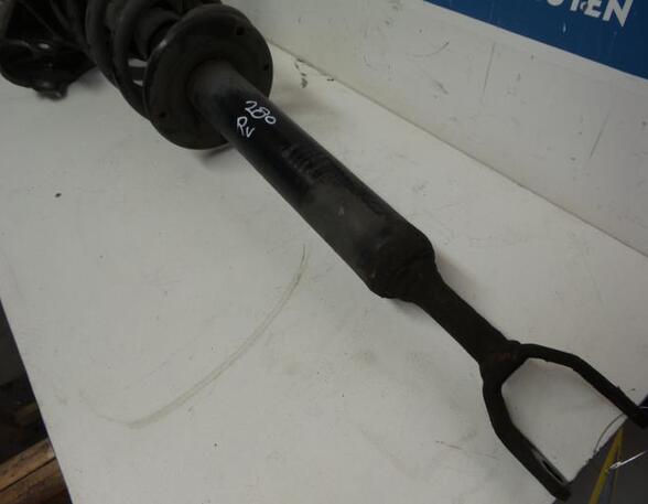 Shock Absorber AUDI A6 (4F2, C6)