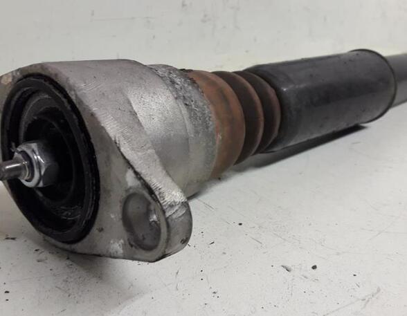 Shock Absorber AUDI A6 Avant (4F5, C6)