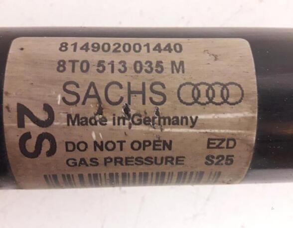 Shock Absorber AUDI A4 (8EC, B7)