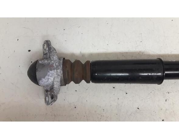 Shock Absorber AUDI TT (8J3)