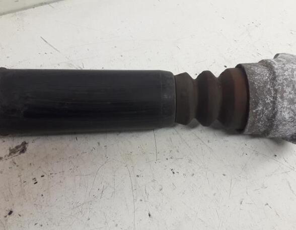 Shock Absorber AUDI A6 (4F2, C6)