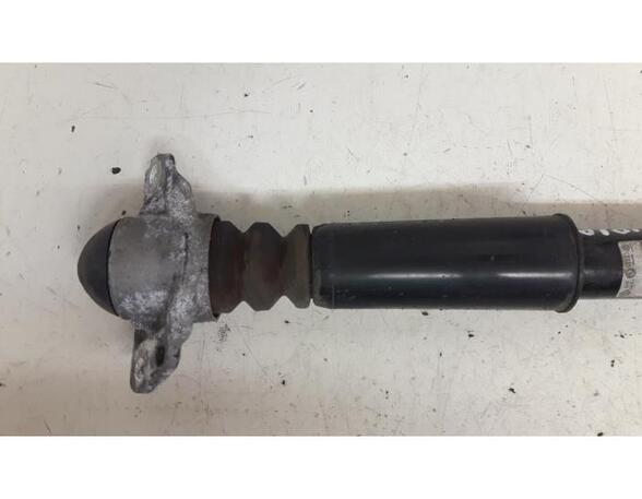 Shock Absorber AUDI TT (8J3)