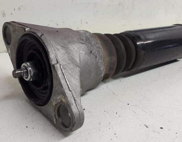 Shock Absorber AUDI A6 Avant (4F5, C6)