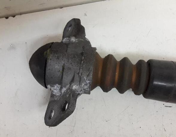 Shock Absorber AUDI A3 (8P1), AUDI A3 Sportback (8PA)