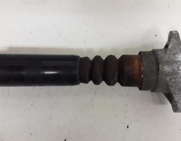 Shock Absorber AUDI A6 Avant (4F5, C6)