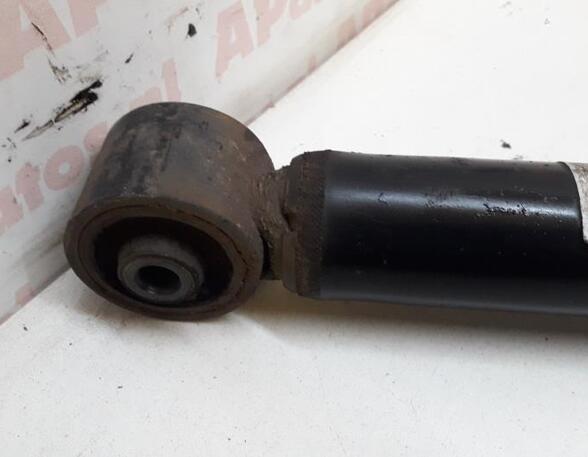 Shock Absorber AUDI A3 (8L1)