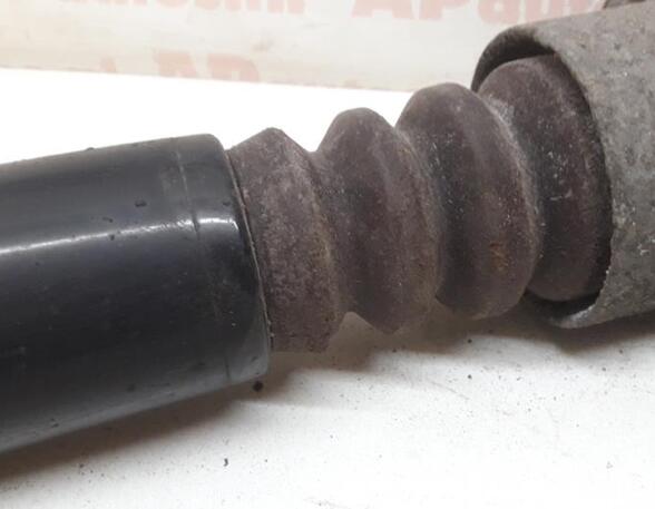 Shock Absorber AUDI A6 Avant (4B5, C5)