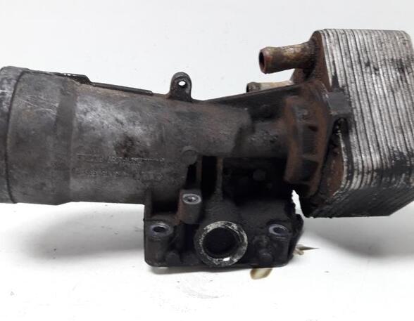 Oil Filter Housing Box AUDI A4 (8EC, B7)