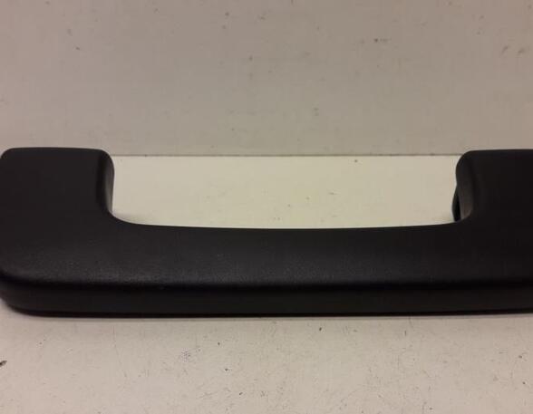 Grab Handle AUDI A3 (8P1), AUDI A3 Sportback (8PA)