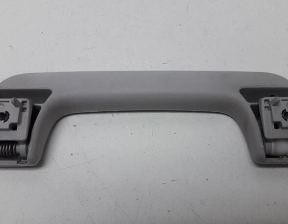 Grab Handle AUDI A6 Avant (4F5, C6)