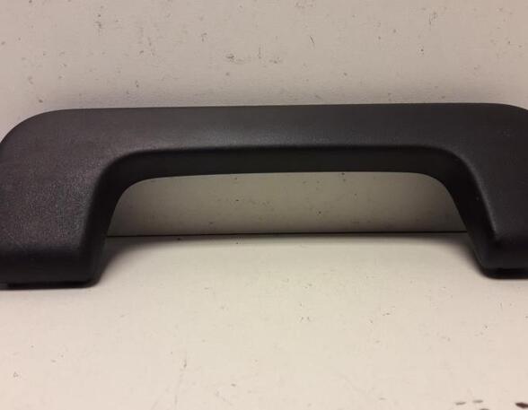 Grab Handle AUDI A6 Avant (4F5, C6)