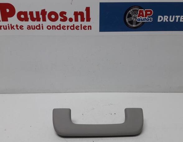 Grab Handle AUDI Q5 (8RB), AUDI Q5 Van (8RB)