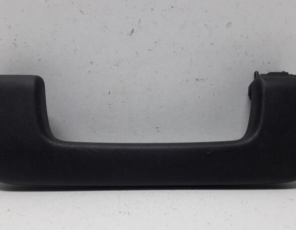 Grab Handle AUDI Q7 (4LB)