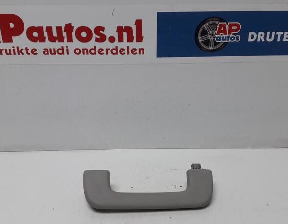 Grab Handle AUDI Q5 (8RB), AUDI Q5 Van (8RB)