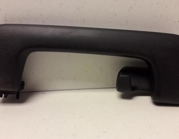 Grab Handle AUDI A6 Avant (4F5, C6)