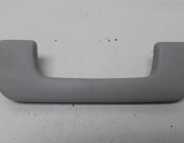 Grab Handle AUDI A6 Avant (4F5, C6)