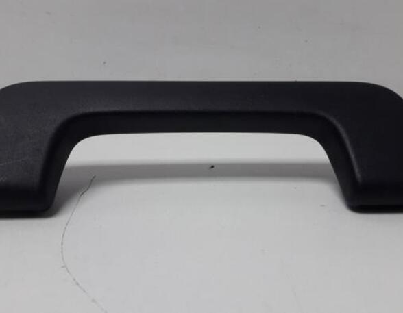 Grab Handle AUDI A3 (8P1), AUDI A3 Sportback (8PA)