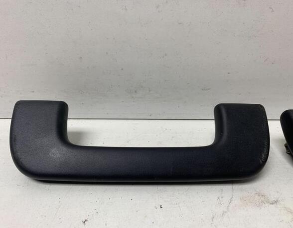 Grab Handle AUDI A3 Sportback (8VA, 8VF)