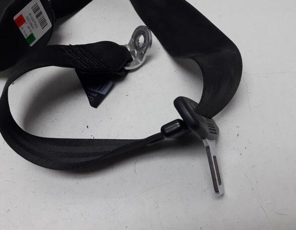 Safety Belts AUDI Q5 (8RB), AUDI Q5 Van (8RB)