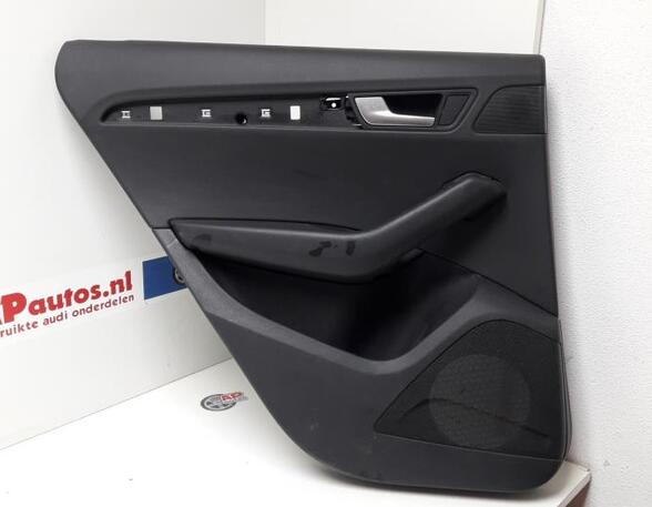 Door Card (Door Panel) AUDI Q5 (8RB), AUDI Q5 Van (8RB)