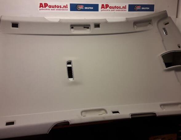 Front Interior Roof Trim Panel AUDI A6 Allroad (4FH, C6), AUDI A6 Avant (4F5, C6)