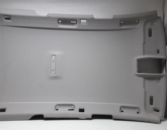 Front Interior Roof Trim Panel AUDI A6 Avant (4F5, C6)