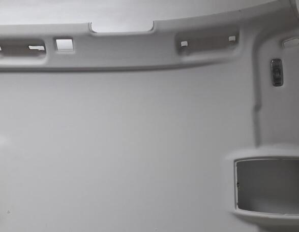 Front Interior Roof Trim Panel AUDI A6 Avant (4F5, C6)