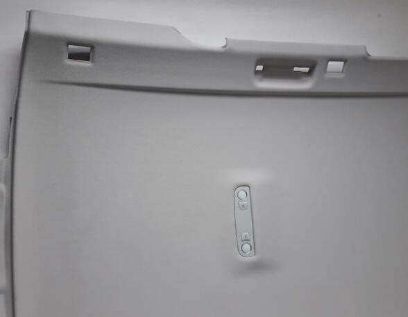 Front Interior Roof Trim Panel AUDI A6 Avant (4F5, C6)