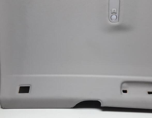 Front Interior Roof Trim Panel AUDI A6 Avant (4F5, C6)