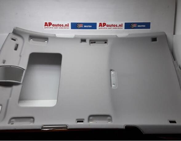 Front roof paneel AUDI A6 Allroad (4FH, C6), AUDI A6 Avant (4F5, C6)