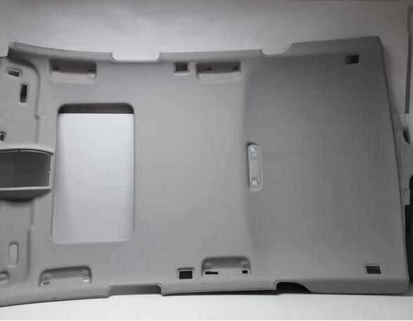 Front Interior Roof Trim Panel AUDI A6 Allroad (4FH, C6), AUDI A6 Avant (4F5, C6)