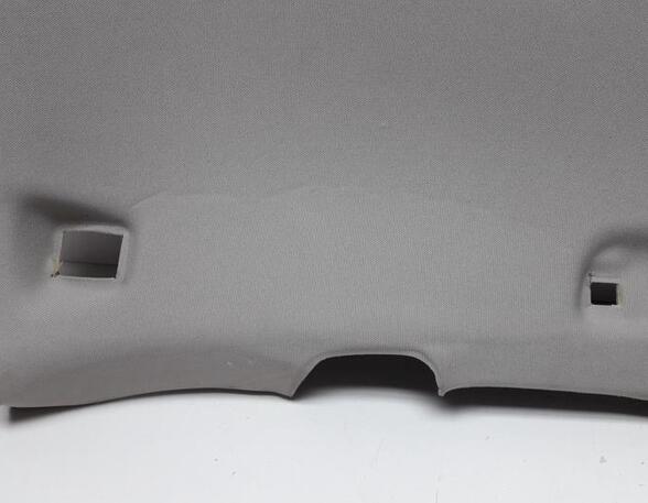 Front Interior Roof Trim Panel AUDI Q5 (8RB), AUDI Q5 Van (8RB)