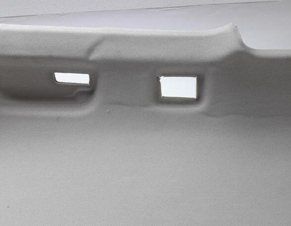 Front Interior Roof Trim Panel AUDI Q5 (8RB), AUDI Q5 Van (8RB)