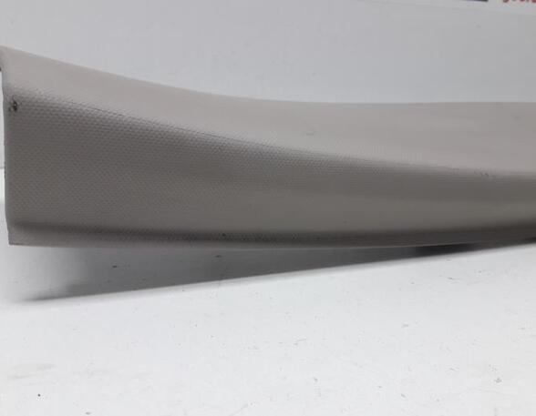 Front Interior Roof Trim Panel AUDI Q5 (8RB), AUDI Q5 Van (8RB)