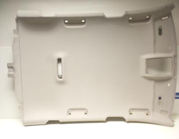 Front Interior Roof Trim Panel AUDI A3 (8P1), AUDI A3 Sportback (8PA)