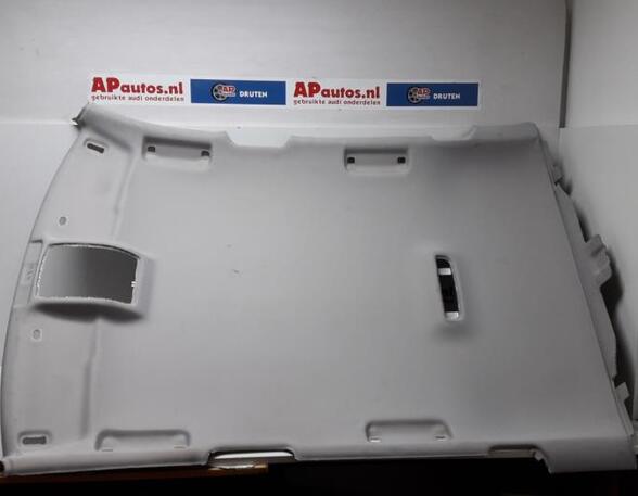 Front Interior Roof Trim Panel AUDI A3 (8P1), AUDI A3 Sportback (8PA)